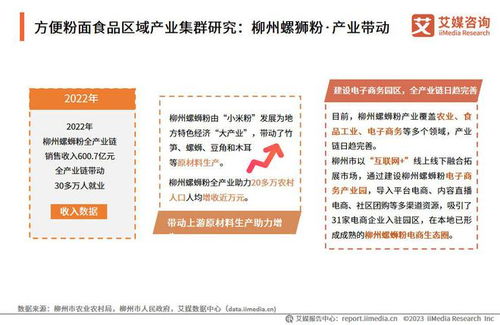 2023-2024年中國方便粉面食品行業發展研究報告